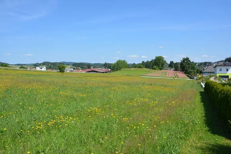 Pletzensiedlung - Baugrund Parzellen Nr. 903/1