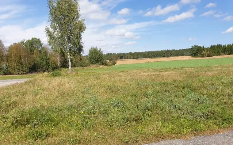 Reingers -Türkenbühel