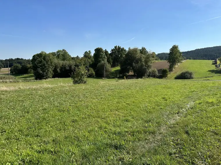 Baugrundstück in Spital bei Weitra, Bauplatz 3