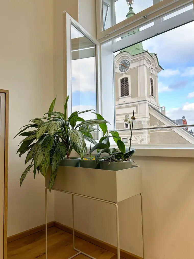 Modernes Büro in der Zwettler Innenstadt
