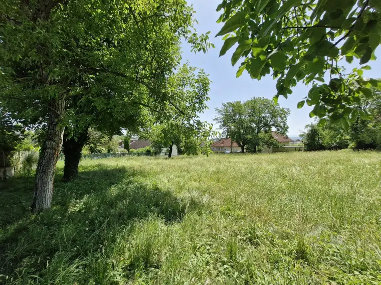 RARITÄT - Einzigartiges Baugrundstück in Leonding – 896 m² für Ihr Eigenheim...!