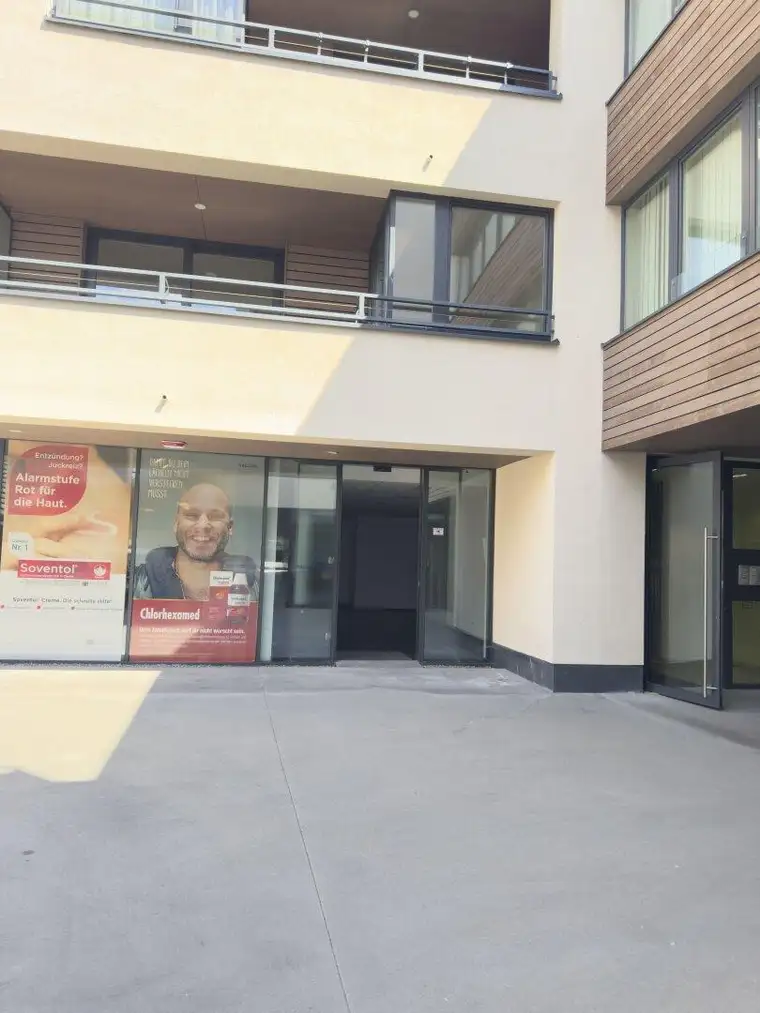 Helene Falkner, Falkner GmbH Tirol