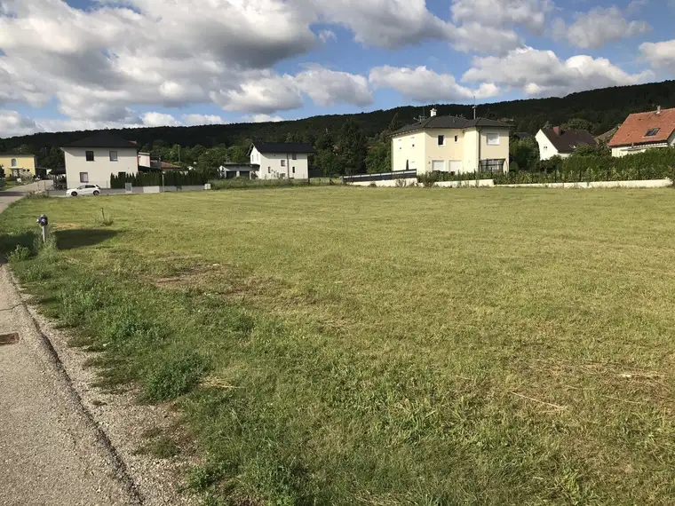 Attraktives Baugrundstück in ruhiger Lage für Ihr Traumhaus!