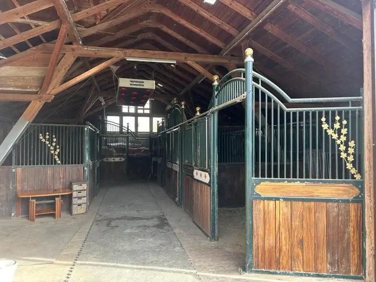 Exklusiver Pferdehof mit 2 Wohneinheiten, Reithalle &amp; großem Grund in Hochneukirchen