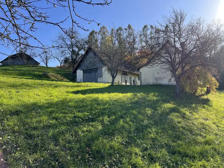 ++LOIPERSDORF++ Renovierungsbedürftiges Häuschen an der Thermenstraße zu verkaufen!