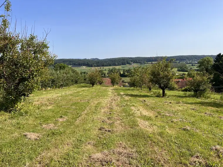 Landwirtschaftliche Fläche mit Obstbaukulturen ca. 1,2 ha zu verkaufen.