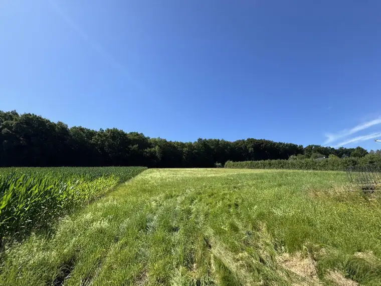 Traumhaftes Baugrundstück in sonniger Lage – flexibel teilbar von ca. 900 m² bis 4.500 m²