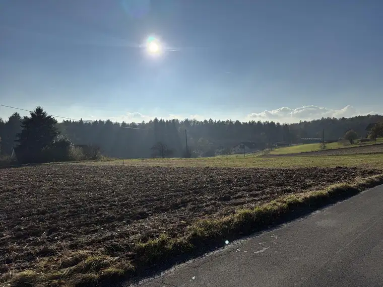 Schönes Baugrundstück mit toller Ausrichtung in St. Margarethen an der Raab ...!