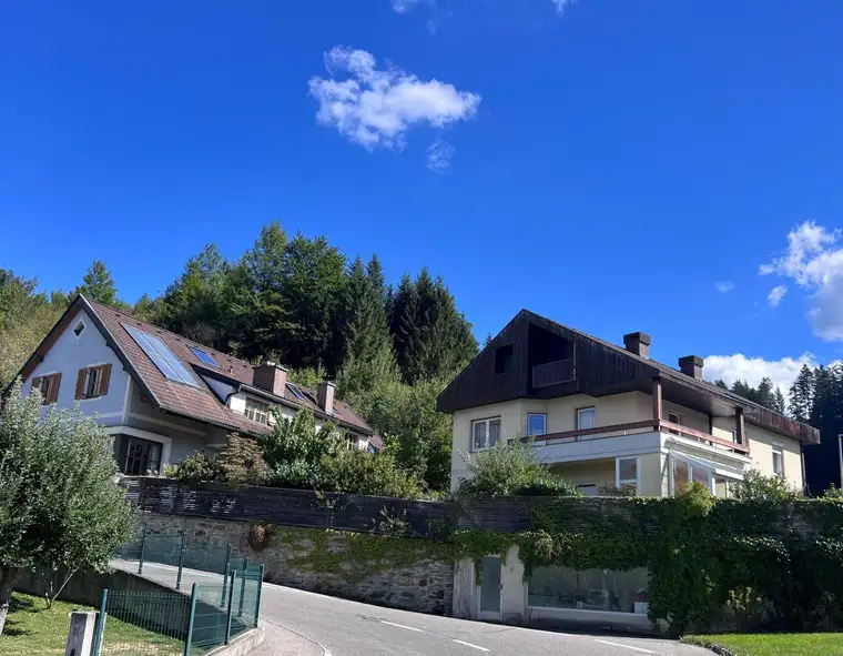 Großzügiges Anwesen - mit zwei Wohnhäusern und großem Naturgarten.