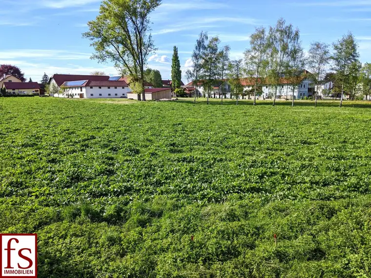 IDYLLISCH gelegener BAUGRUND nahe Ortszentrum – auch für BAUTRÄGER