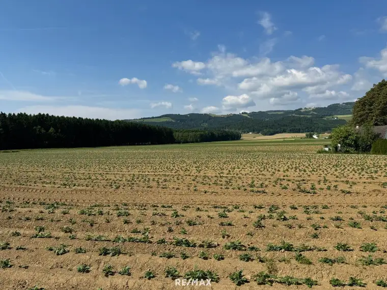 Attraktives Baugrundstück mit Entwicklungspotenzial – schöne Lage in St. Marein Nähe Wolfsberg