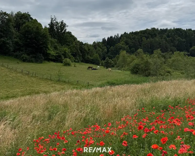 Schönes, sonniges Grundstück in herrlicher Lage in Maria Rain