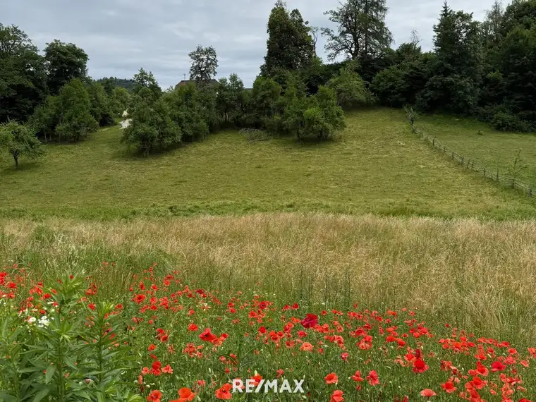 Schönes, sonniges Grundstück in herrlicher Lage in Maria Rain