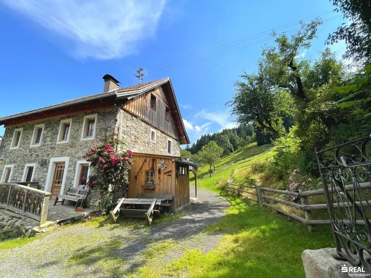Steinhaus (saniert) mit landwirtschaftlicher Fläche in idyllischer Aussichtslage - Scheune und viel Grundstück!