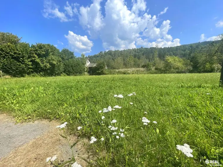Traumhaftes Baugrundstück in Rothenthurn Nähe Spittal/Drau – Berg- und Grünblick!