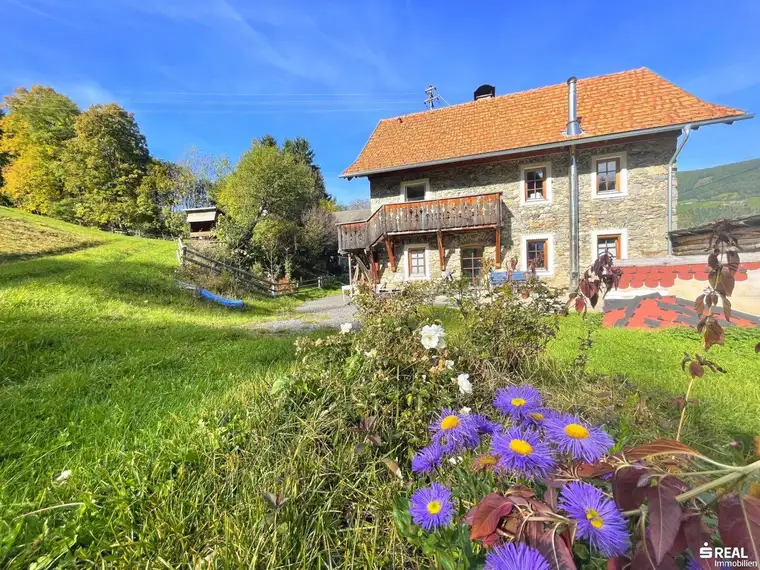 Bauernhaus mit landwirtschaftlicher Fläche in idyllischer Aussichtslage - Scheune und viel Grundstück!