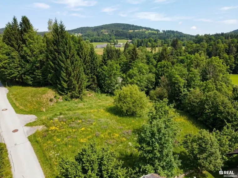 Traumhaftes Baugrundstück in Reauz – 2121m² für Ihr Eigenheim!