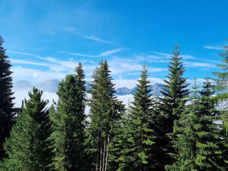 Einfaches Holzhaus mit 5.5 Zimmern und Garten in Gebirgslage mit tollem Blick auf die Lienzer Dolomiten zu verkaufen!