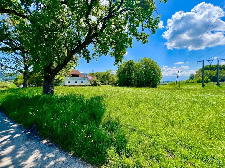 IDYLLISCHES BAUGRUNDSTÜCK NÄHE SALZBURG ! - 1044 m² - WIDMUNG DORFGEBIET - KEIN BAUZWANG -