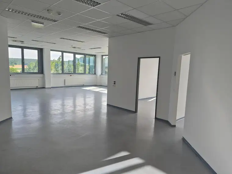 Helle Bürofläche mit Einzelräumen und eigener Teeküche