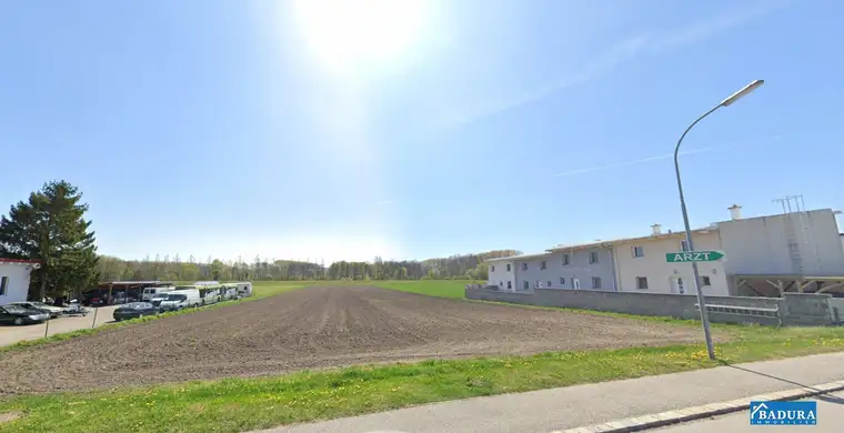 Großes, attraktives Baugrundstück in Trautmannsdorf an der Leitha – Ideal für Ihr Projekt!