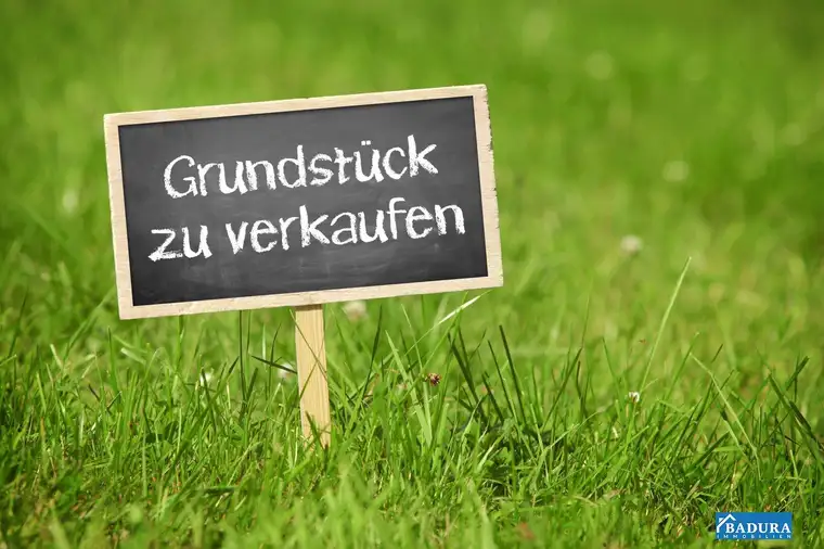 Großes, attraktives Baugrundstück in Trautmannsdorf an der Leitha – Ideal für Ihr Projekt!