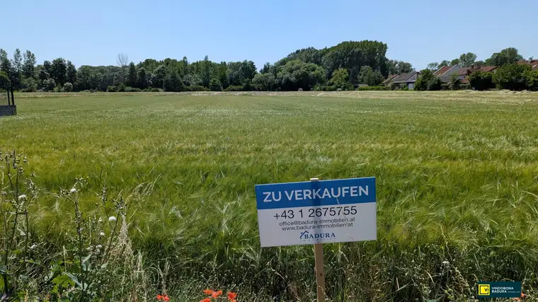 Großes, attraktives Baugrundstück in sonniger, ruhiger Lage – Ideal für Ihr Projekt!