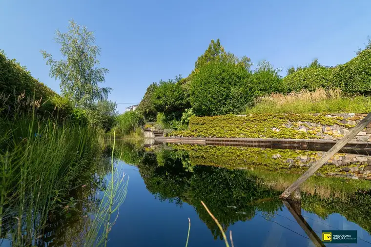 Stadt trifft Land: Exklusive Villa mit Gartenidylle und Schwimmbiotop in Ruhelage