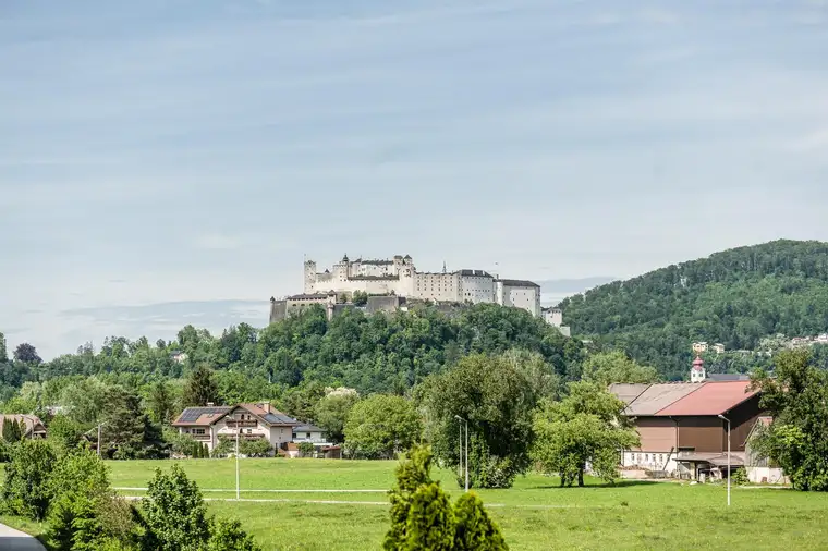 5 Zimmer Penthouse mit Terrassen, Pool und freiem Festungsblick!
