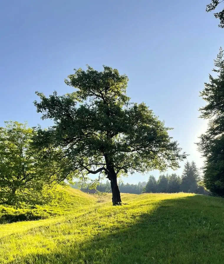 Eindrucksvolle Naturkulisse mit traumhaftem Ausblick