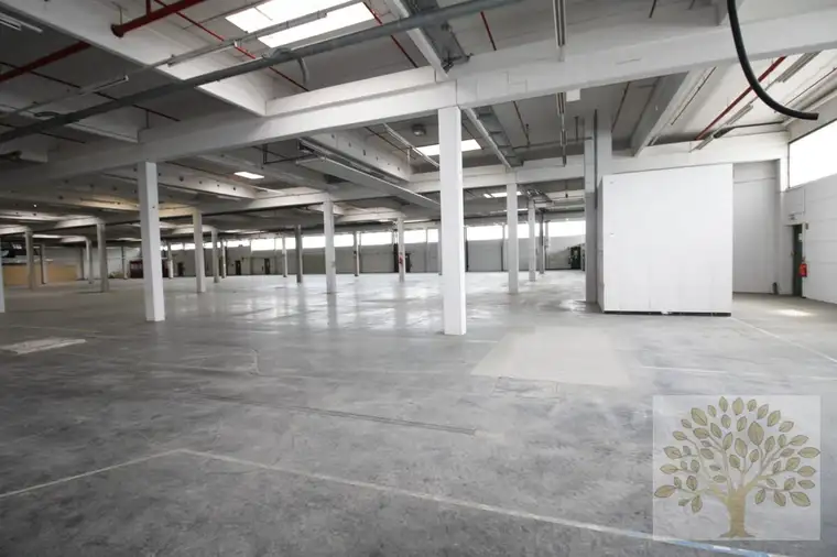 Große Lagerhallen mit guter Logistikin Viktring zu vermieten