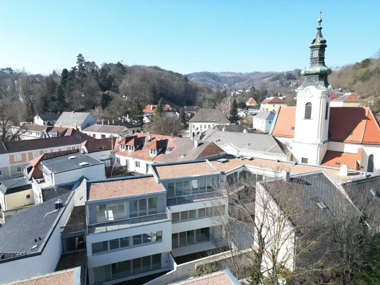 Teodor Pytel, Teo Immobilien GmbH
