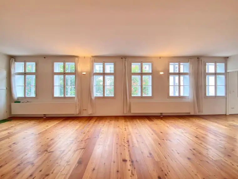 Museumsquartier/Volkstheater: Loftartige Wohnung in Hofruhelage