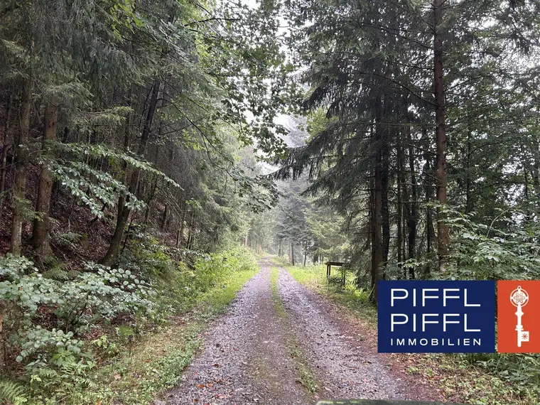 Wald in 4083 Haibach ob der Donau zu verkaufen!