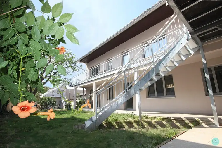 Gabriele Dürler, Gabriele Dürler NEW Immobilien OG