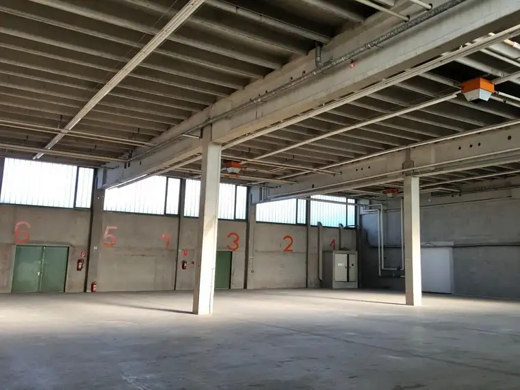 Hallenfläche ab 1.131 m² zu vermieten 