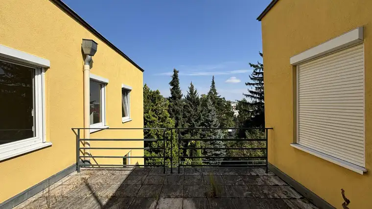 Marcus Haider, Peter Hack Immobilien