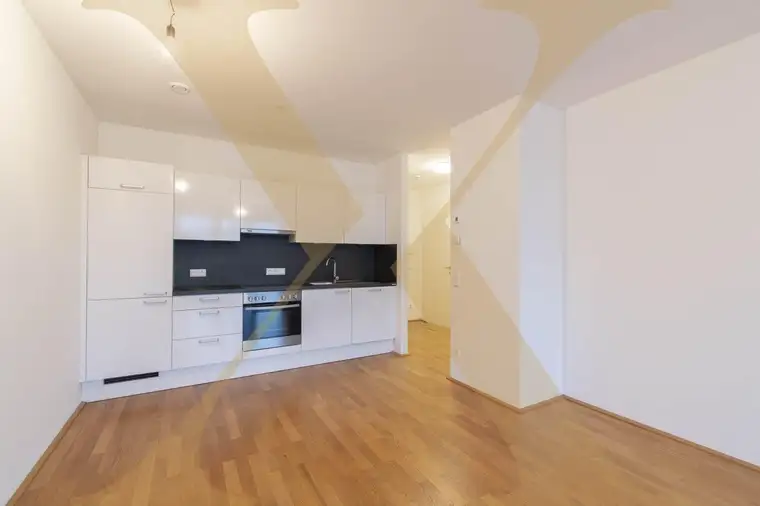 Moderne 2-Zimmer-Wohnung mit gemütlicher Loggia nähe WIFI in Linz zu vermieten! (Top 37)