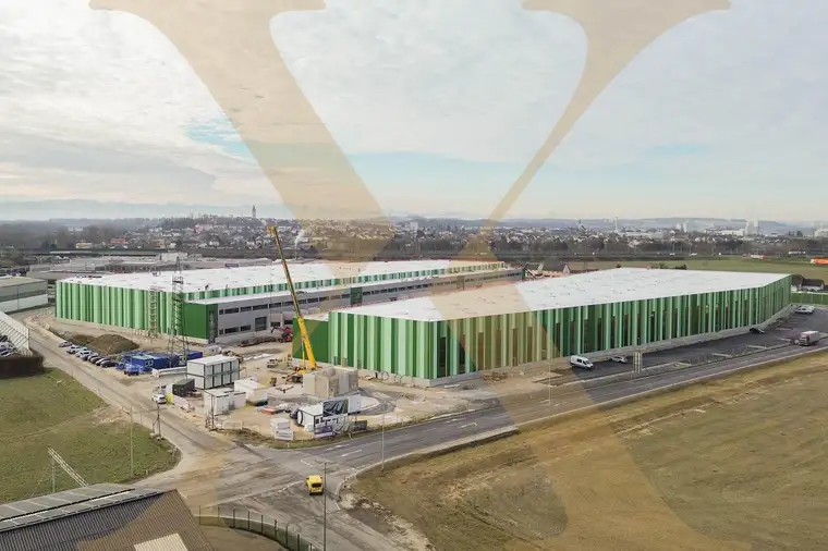 NEUBAU - Lager-/Produktionshalle (optional mit Büroflächen) in Enns/Ennshafen zu vermieten!