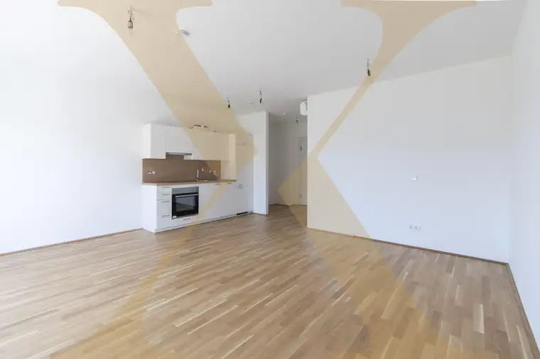 Moderne 1-Zimmer-Wohnung mit gemütlichem Balkon nähe Hummelhofwald in Linz zu vermieten!