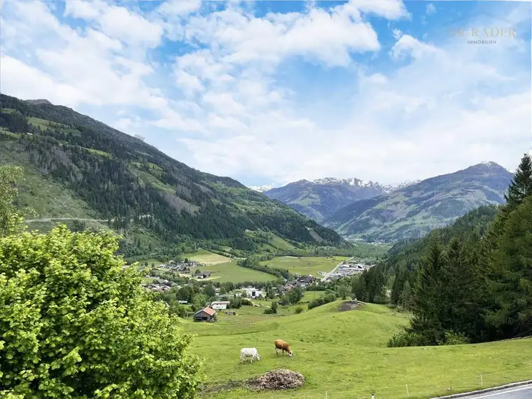 Traumhafte Aussichtslage! Sechs Wohnungen, fünf davon vermietet