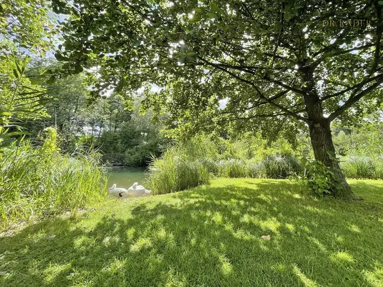 Erholung pur: Anwesen mit Bootshaus am Seebach
