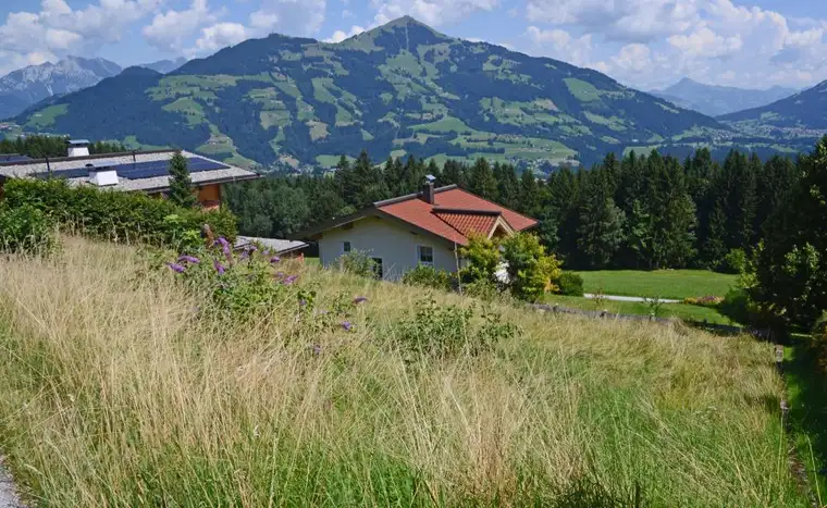 Hanggrundstück in sonniger Panoramalage - Hopfgarten im Brixental