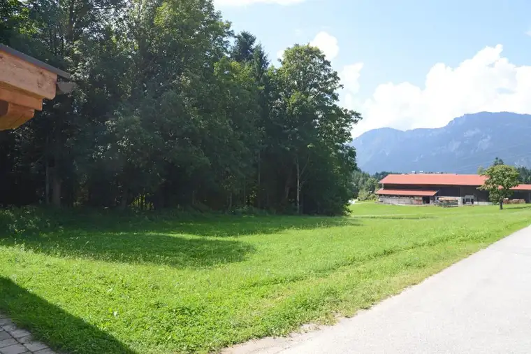 Grundstück in ruhiger Lage mit angrenzenden Freiflächen