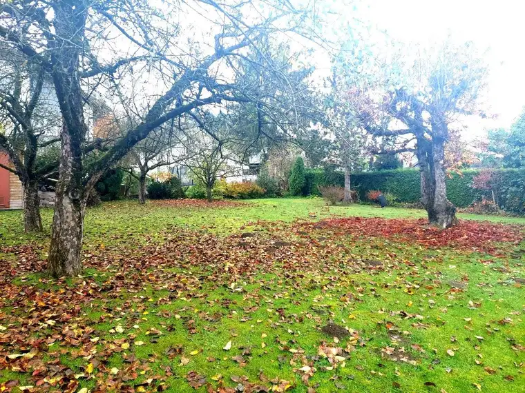 Baugrund in ruhiger Siedlungslage