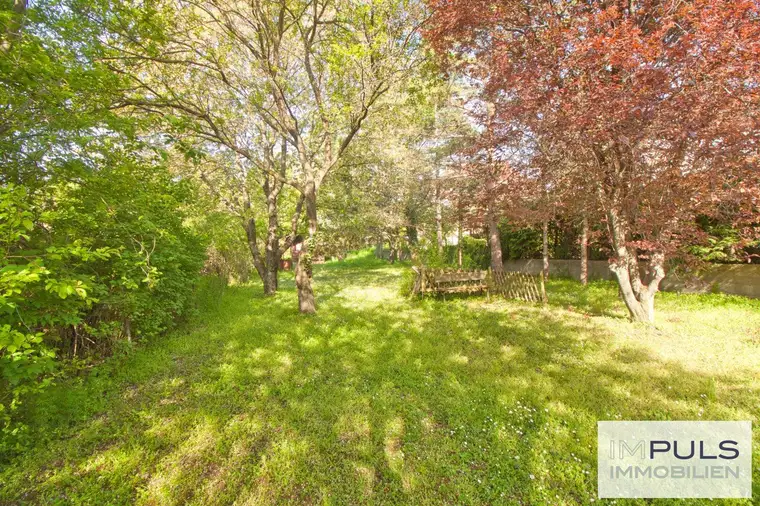 Ebenes Grundstück in ruhiger Sackgasse | idyllischer Garten mit wundervollem Baumbestand | rd. 180 m² verbaubar
