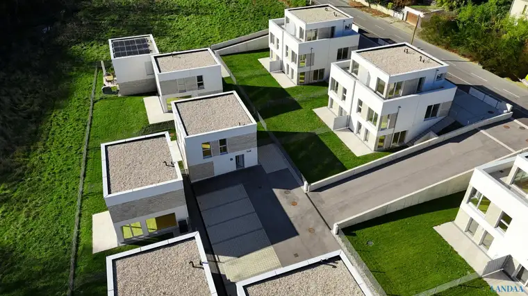 Alexandra Samarskaya, MSc, LANDAA Immobilien GmbH