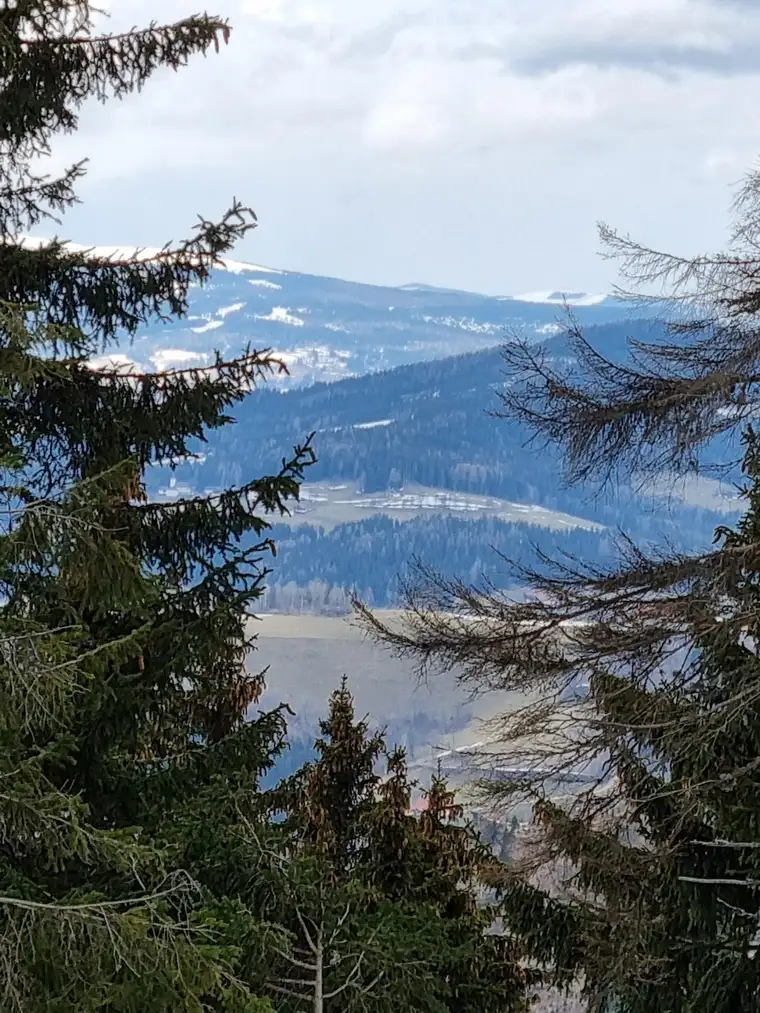 Koralpe -RARITÄT! - Zweitwohnsitz- Wertvolle Investition