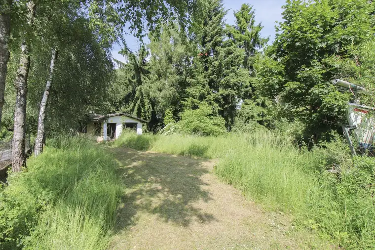 Naturliebhaber aufgepasst! Bebaubares Grundstück mit Waldanteil und schönen Besonderheiten in Gföhl