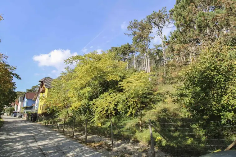 Zwei bebaubare Grundstücke in Berndorf in guter Lage!